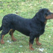 HERA Sušianska dolina