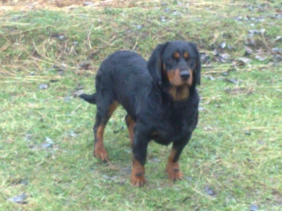 HERA Sušianska dolina