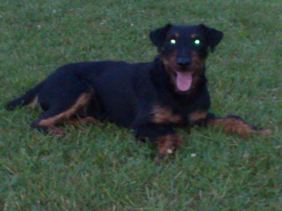 BENY Gerlachovský dvor