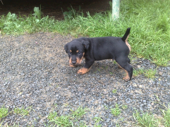 trochu vačšie :-))