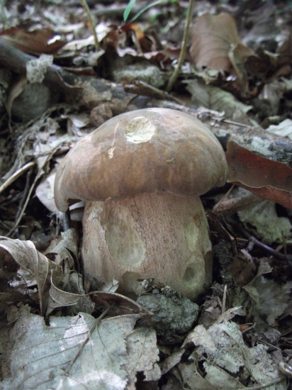 moj prvý toho roku :D