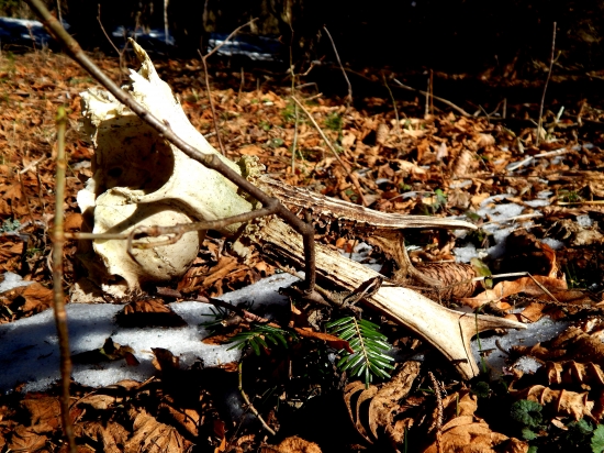 Ked sa stastie unavy