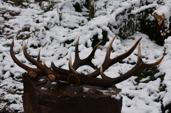 Dnes nám to s kamarátom vyšlo