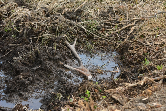 Už aj takéto zhadzujú