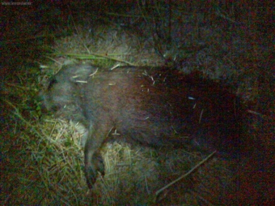 chcelo somnou vybabrat