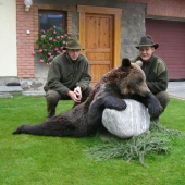 maco mlieč