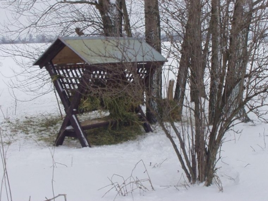 môj srnčí krmelec