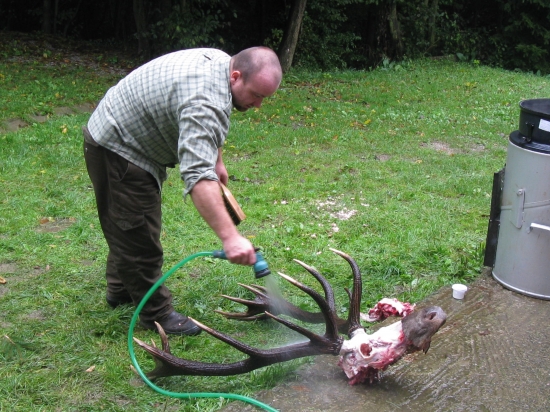 osetrenie pred vyvarenim...