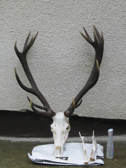 este troska vysperkovat pripevnit podlozku a moze sa odovzdat majitelovi