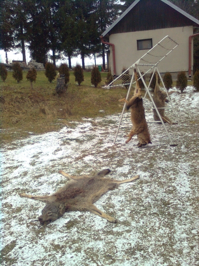 aj tych dvoch to caka...