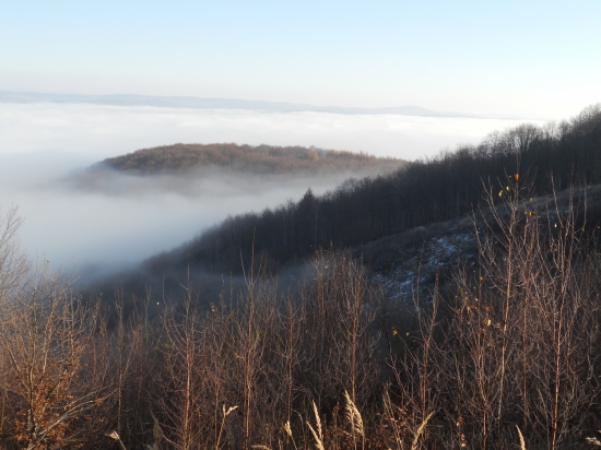 dole nebolo vidiet na 10m...