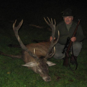 poplatkovy- ruja 2008