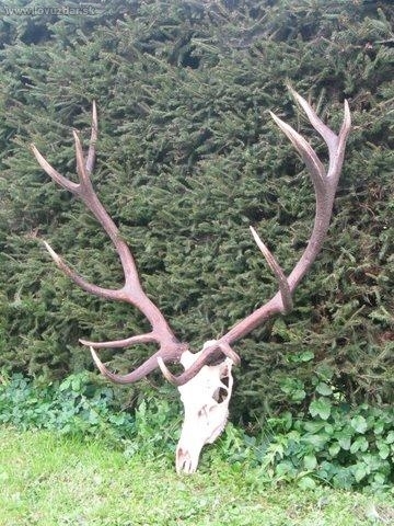 tajomnikov..ID  32006