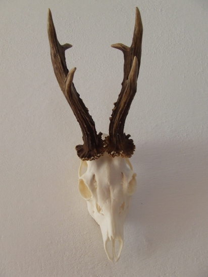 3.vekova