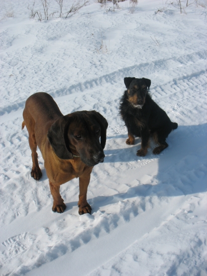 Posledná spoločná prechádzka.