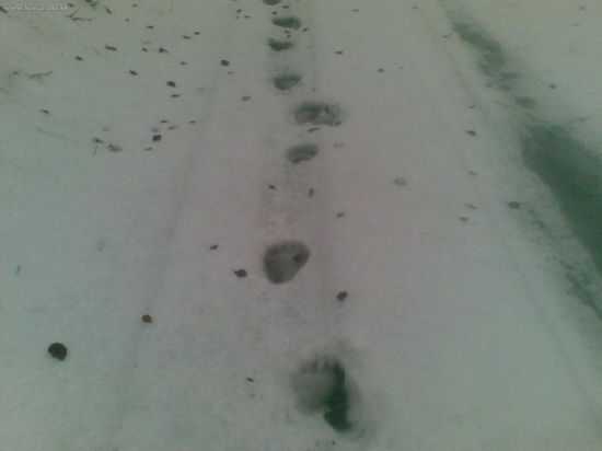 už zase - dnes ráno