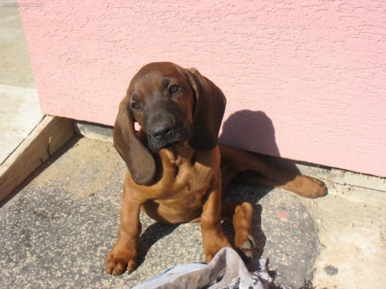 ešte má len 2-mesiace