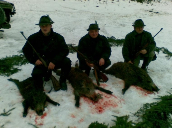 spoločná polovačka