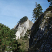 Vršatec