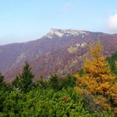 Kľak