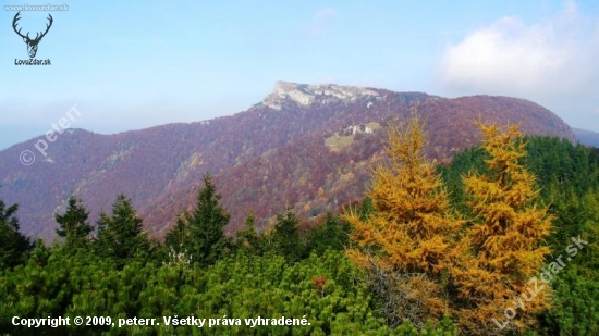 Kľak