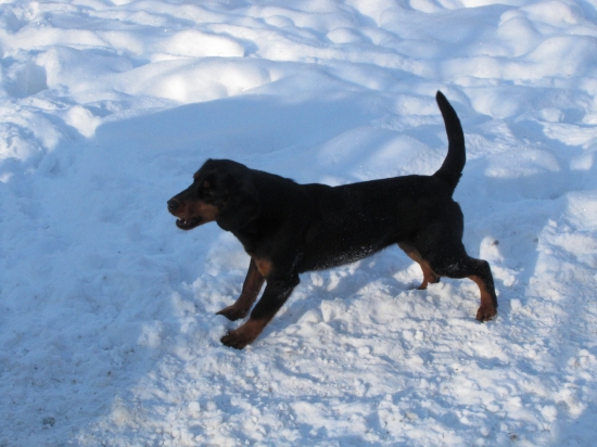 IDA-nádejna 10 mesačna kopovka