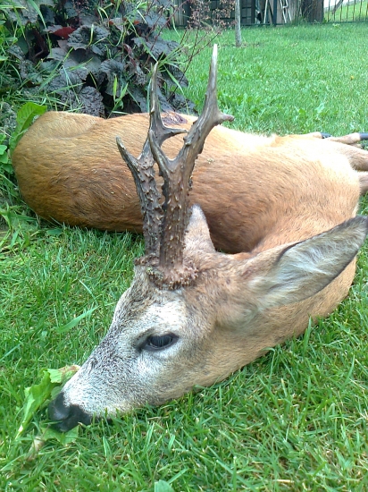 Zatiaľ môj najsilnejší