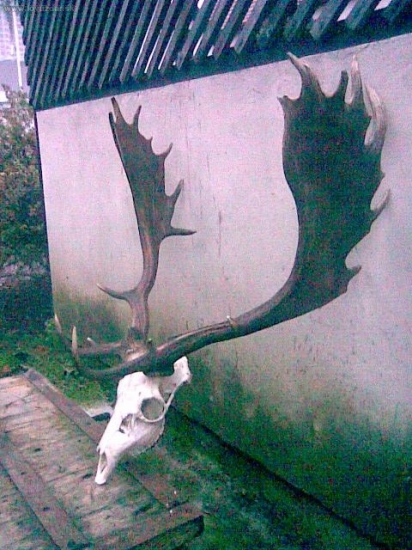 č .2