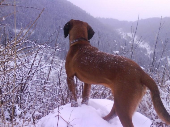 mam to pod kontrolou