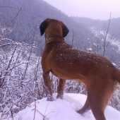 mam to pod kontrolou