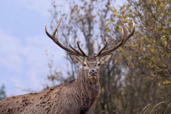 Prekvapený sme boli obaja...