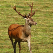 Nádejný...z dnešného rána