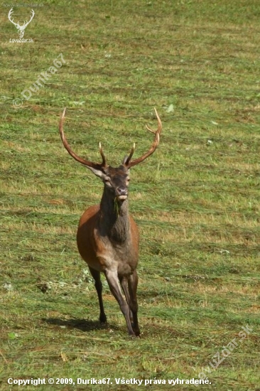 Pekný výrad...