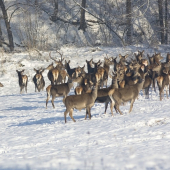 na obedňajšom slniečku