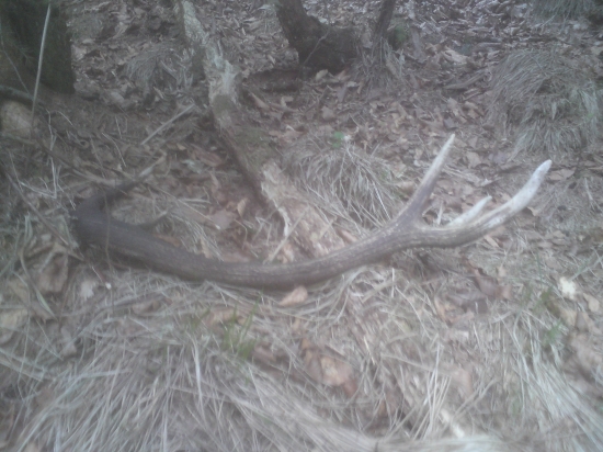 15 minut prestavka na motorke 1.