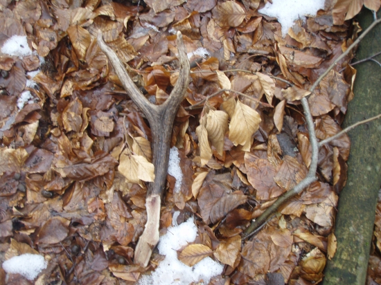 ninulorocny ulomok 1 cast