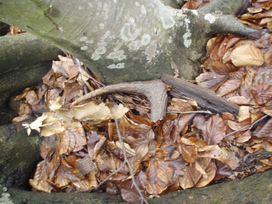 minulorocny ulomok 2 cast