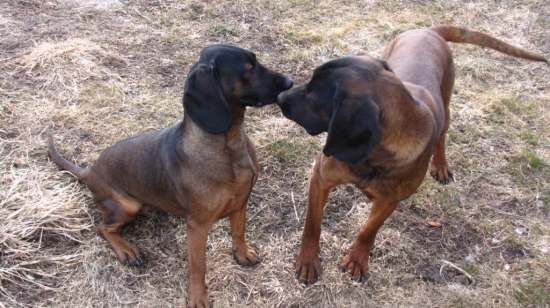 Amon a jeho mama Brita