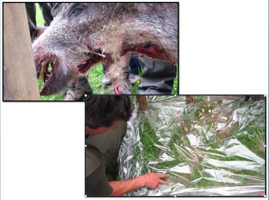 ukažka vystrelu -znaky