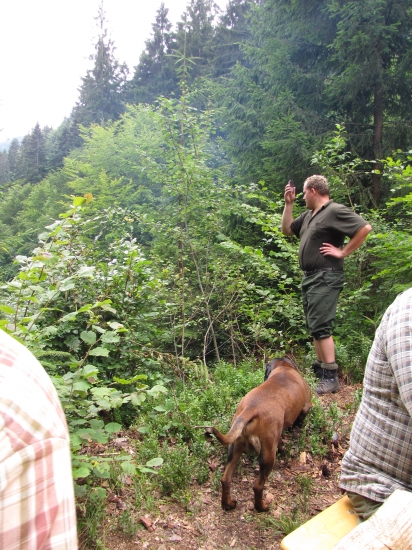 Farbiaristi kedy už prídete.