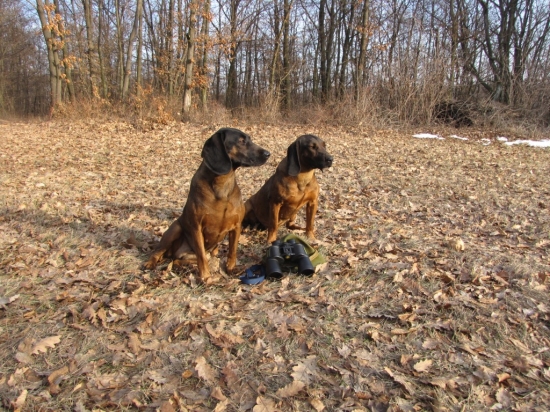 brita a jej stena ajda