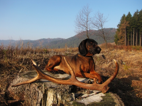 zhodik a moja Britka