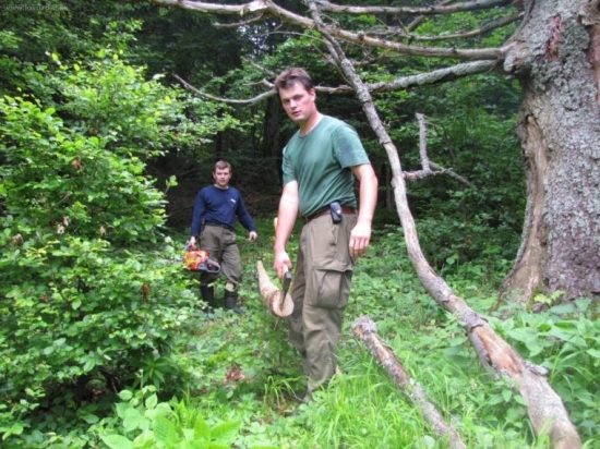 vdacna pomoc pri oprave rebrika