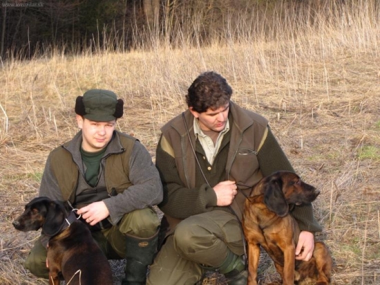 basta a bibik a nase psy