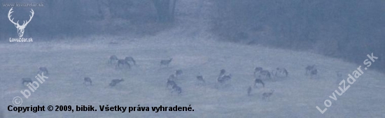 cestov do Hrušova