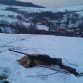 Aj mne bolo dopriane.