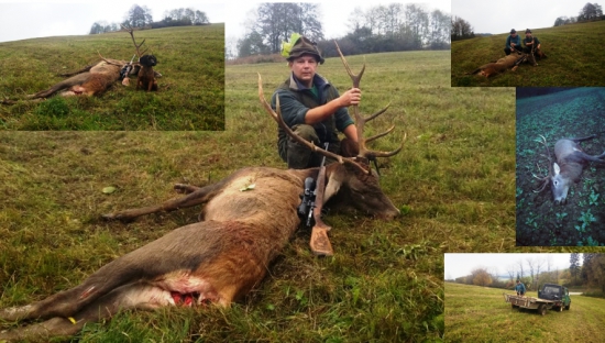 Môj a len môj jeleň na druhý pokus