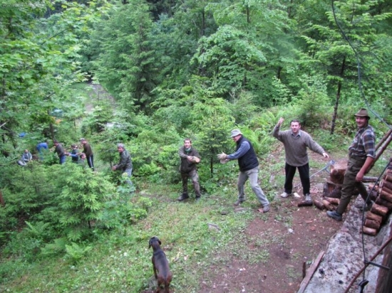 priprava dreva na zimu