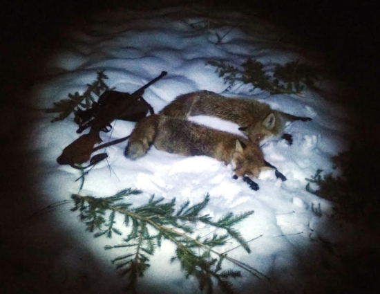 Darcek na Mikulasa..