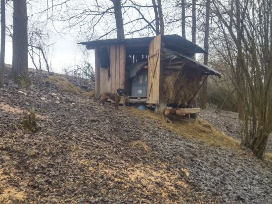 Krmenie s Kiara spod Hyla BF.